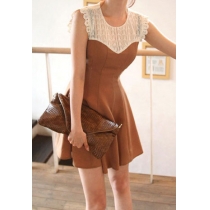 Crochet Lace Sheer Bodycon Crew Neck Tank Dress 