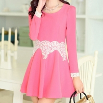 Long Sleeve Crew Neck Bodycon Sweet Lace Dress 