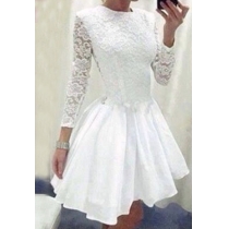 Fashion Round Neck Long Sleeve Slim Fit Lace Dress