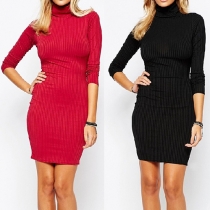Elegant Solid Color Long Sleeve Turtleneck Slim Fit Knit Dress