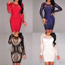 Sexy Long Sleeve Round Neck Bodycon Dress