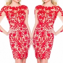 Sexy Long Sleeve Round Neck Slim Fit See-through Lace Dress