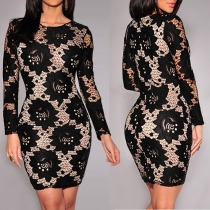 Sexy Round Neck Long Sleeve Lace Spliced Embroidery Hollow Out Dress
