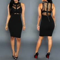 Sexy See-through Lace Spliced Sleeveless Round Neck Sheath Dress