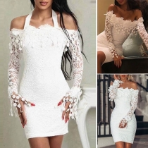 Sexy Off-shoulder Long Sleeve Slim Fit Halter Lace Dress