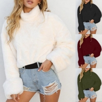 Fashion High Neck Long Sleeve Solid Color Sweater