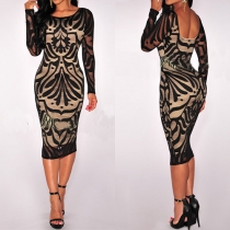 Sexy Backless Long Sleeve Round Neck Slim Fit Lace Dress