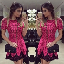 Fashion Short Sleeve Round Neck Slim Fit Lace Dress