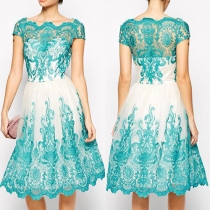 Sexy Hollow Out Lace Spliced Short Sleeve Dress