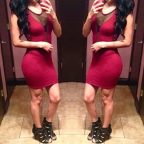 Sexy Gauze Spliced Sleeveless Round Neck Bodycon Dress