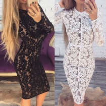 Sexy Long Sleeve Round Neck Slim Fit Hollow Out Lace Dress