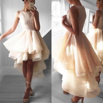 Sexy Sleeveless Round Neck High-low Hem Party Dress