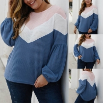 Fashion Contrast Color Lantern Sleeve Round Neck Plus-size Knit Top 